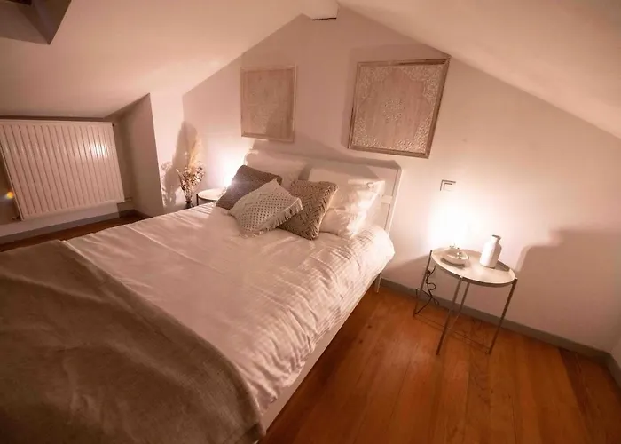Duplex Typique Centre Bayonne